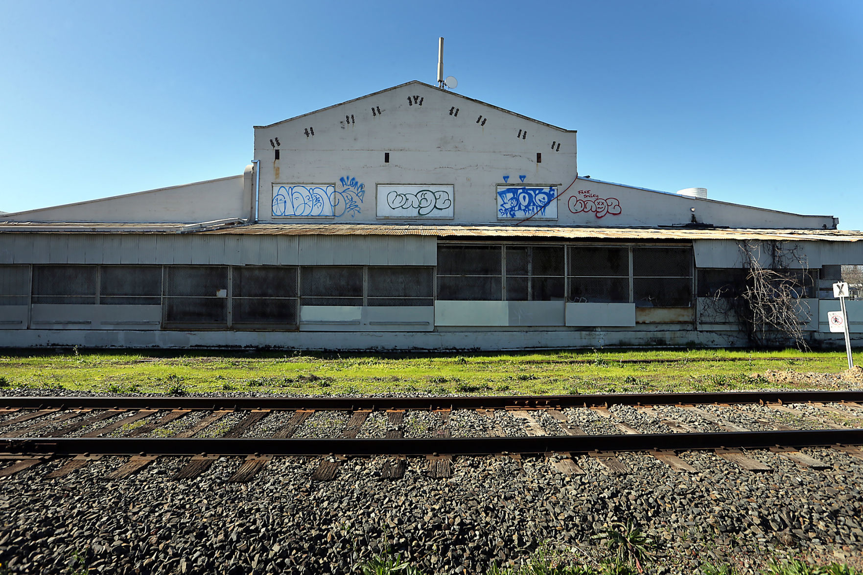 Vine Trail Graffiti